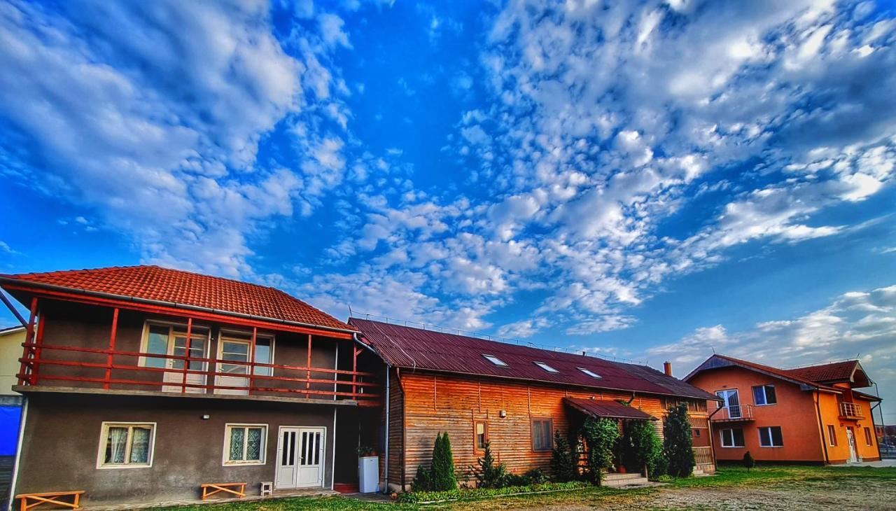 Pensiunea Sanziana Oradea Exterior foto