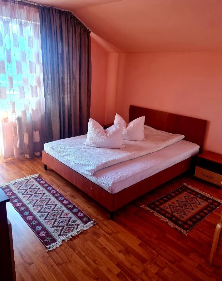 Pensiunea Sanziana Oradea Exterior foto