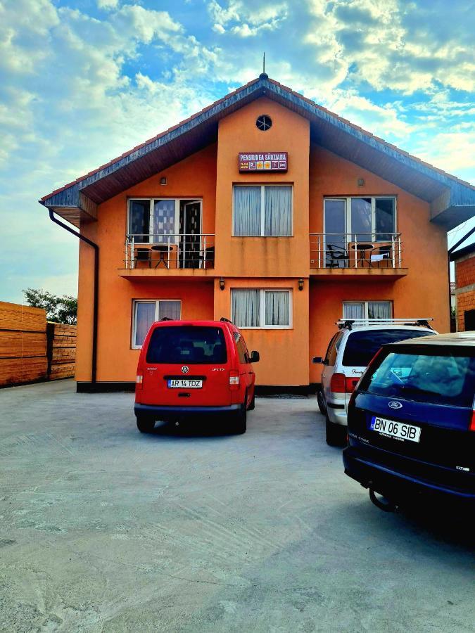 Pensiunea Sanziana Oradea Exterior foto